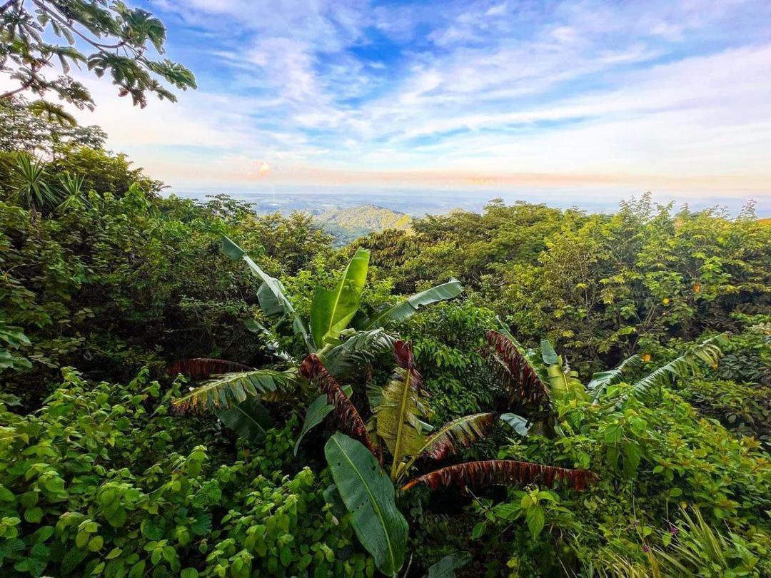 Domos Mirador Romantic Private Honeymoon Glamping Miramar Buitenkant foto